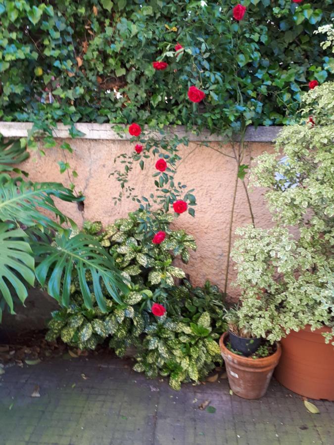 Tra Gianicolo E Trastevere Rome Exterior photo